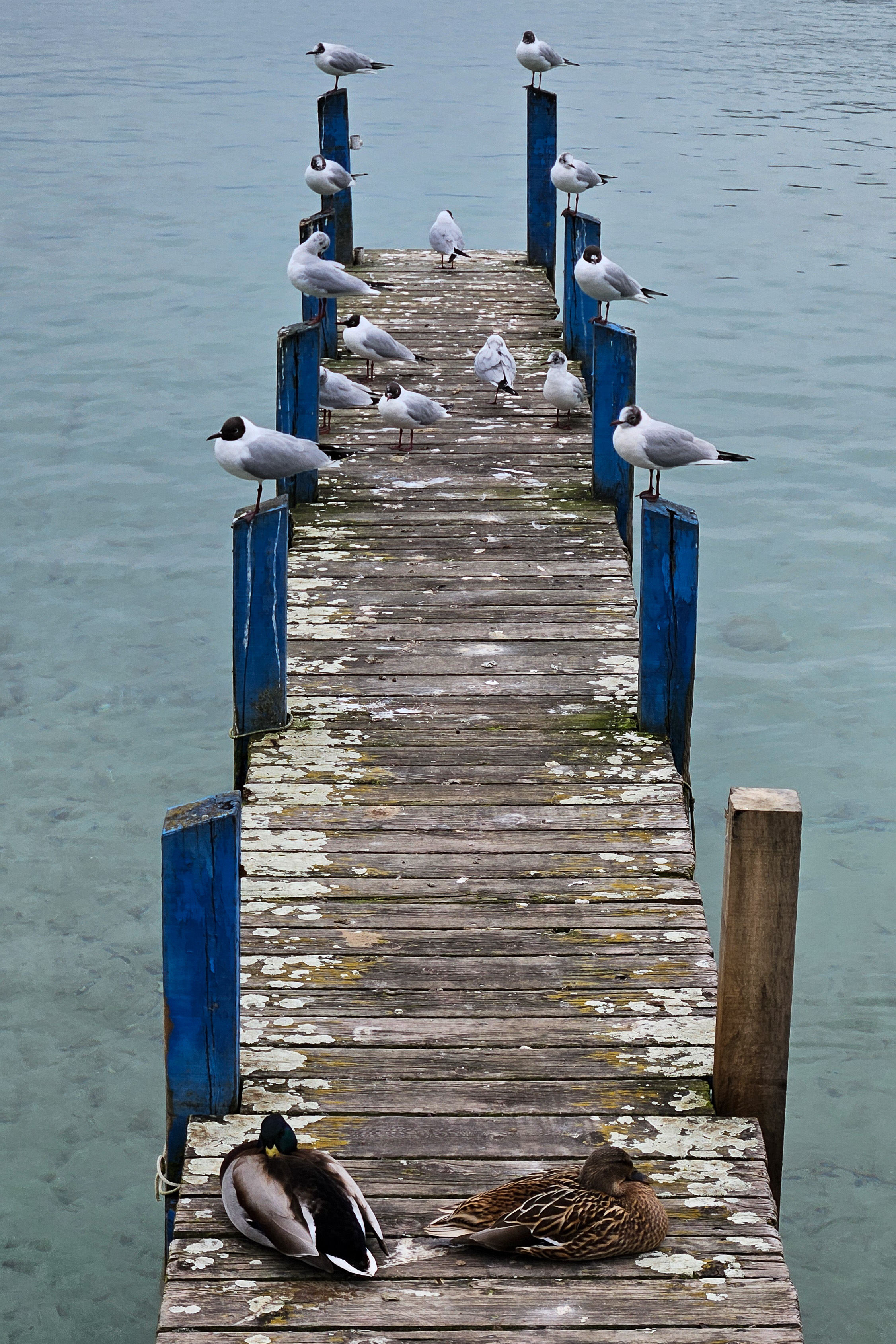 Streifzug durch Annency